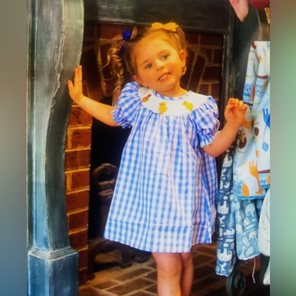 Blue Gingham Duck Smocked Kids Casual Dress